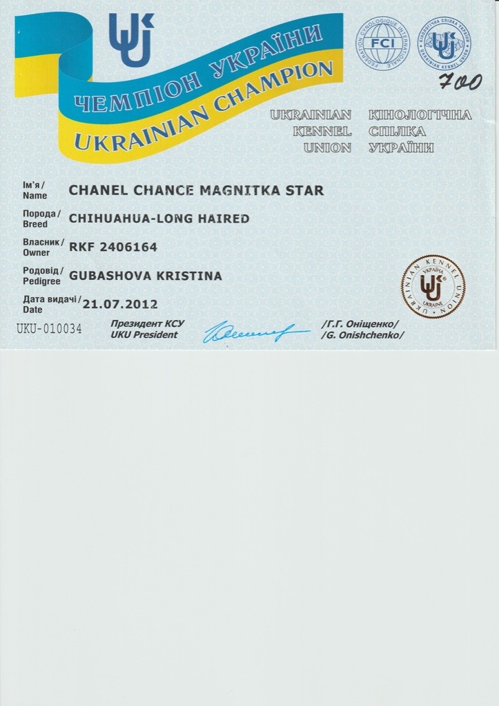 CH. Chanel chance magnitka star