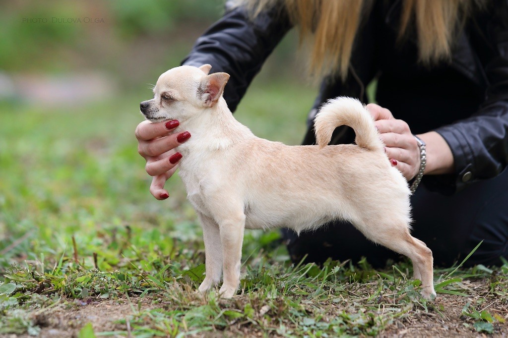 April dream di san gimignano
